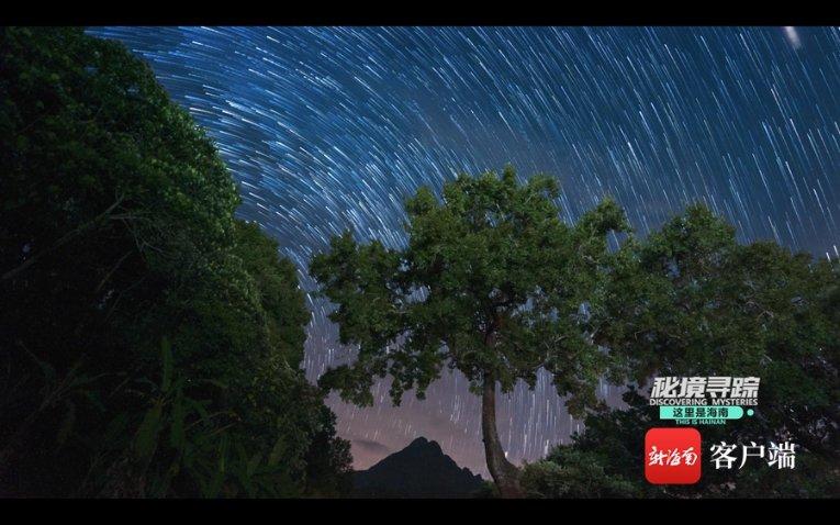 英语疑问句如何提问才不出错？游戏画面