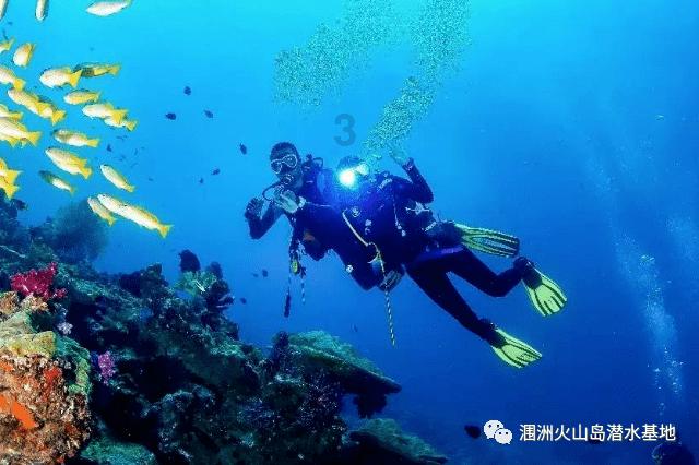 荣耀v20和一加六那个好游戏画面