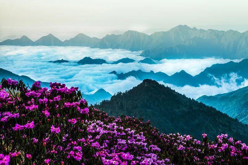 我的世界记忆卡