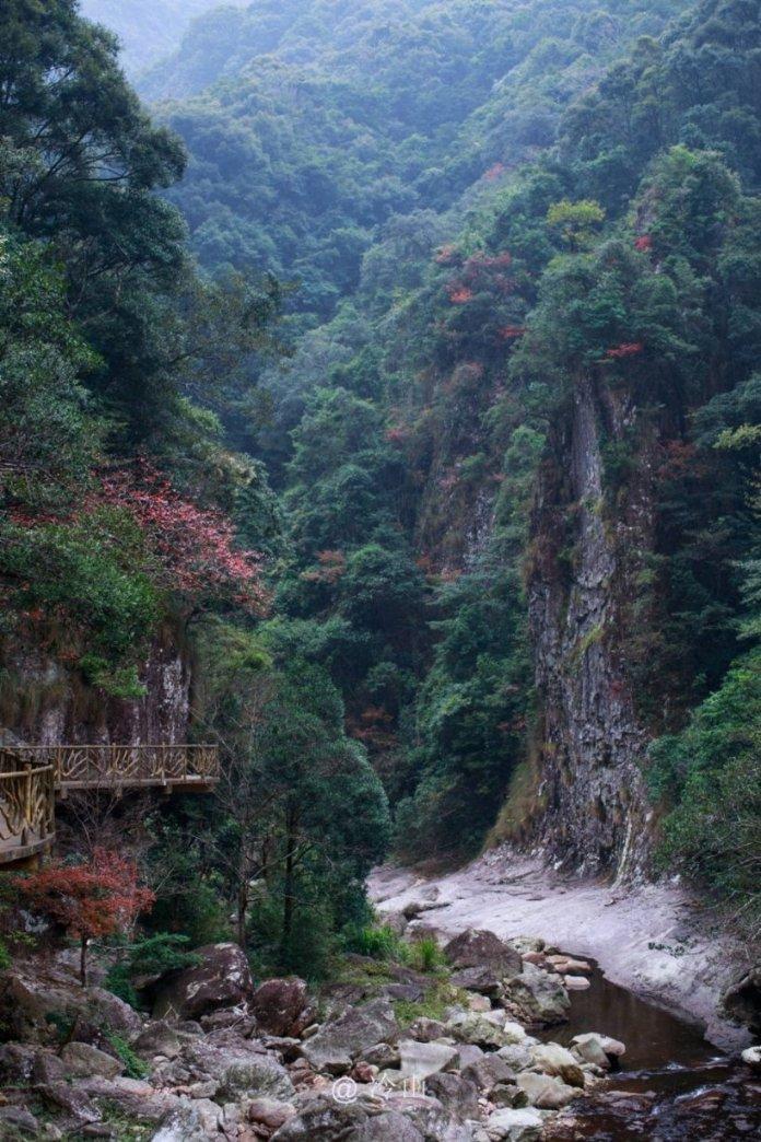 汤姆的灵魂