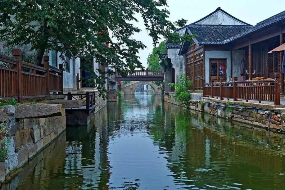 救援蓝色小鱼